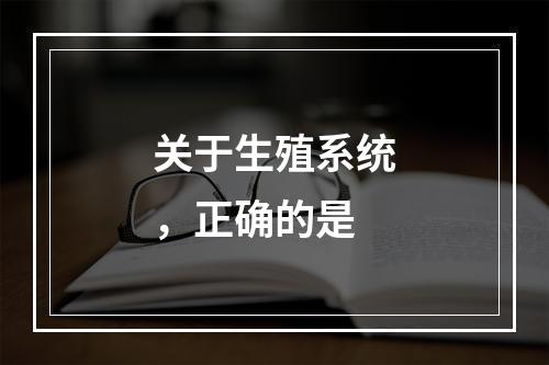 关于生殖系统，正确的是