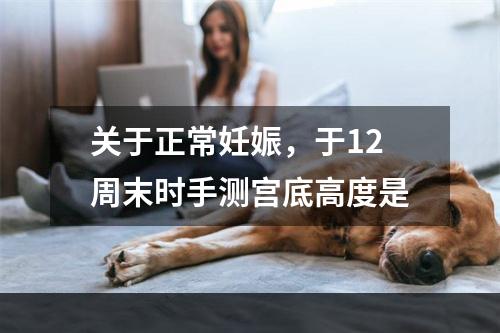 关于正常妊娠，于12周末时手测宫底高度是