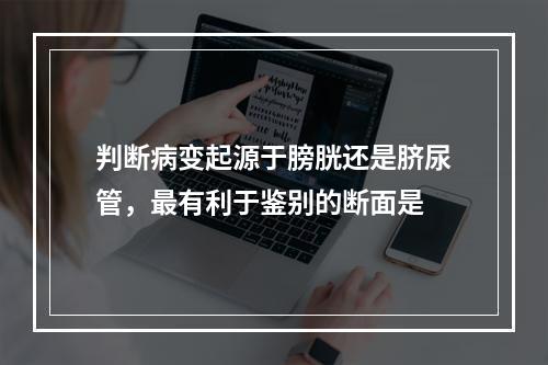 判断病变起源于膀胱还是脐尿管，最有利于鉴别的断面是