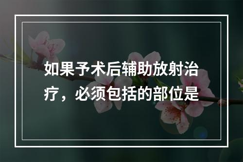 如果予术后辅助放射治疗，必须包括的部位是