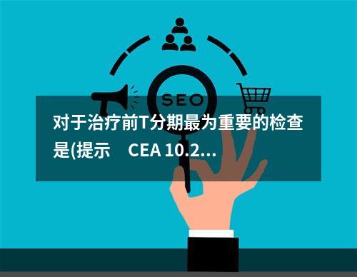 对于治疗前T分期最为重要的检查是(提示　CEA 10.2 U