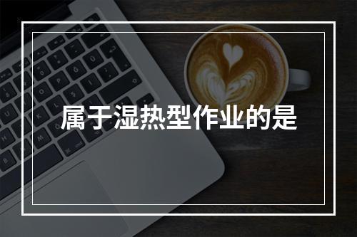 属于湿热型作业的是