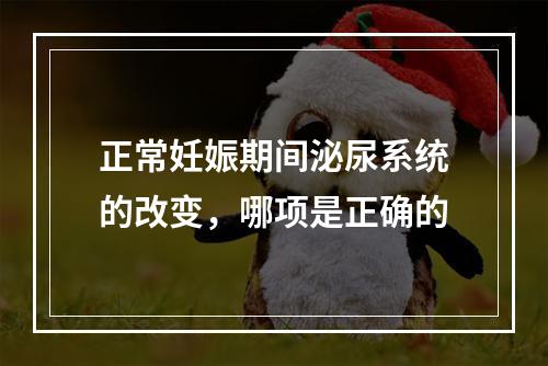 正常妊娠期间泌尿系统的改变，哪项是正确的