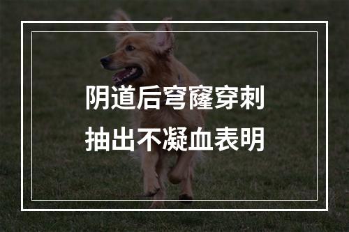 阴道后穹窿穿刺抽出不凝血表明