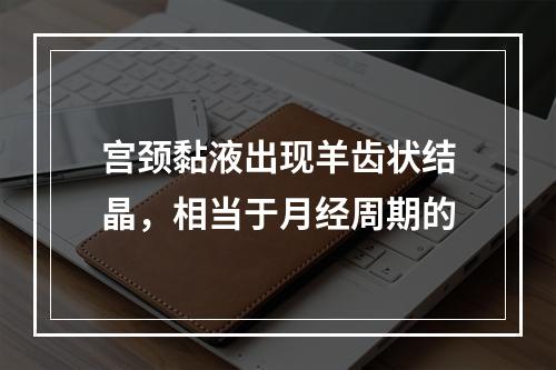 宫颈黏液出现羊齿状结晶，相当于月经周期的