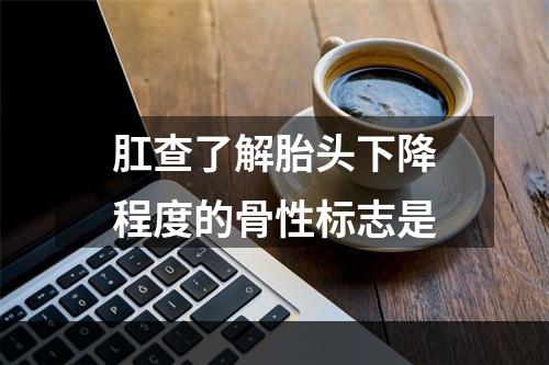 肛查了解胎头下降程度的骨性标志是