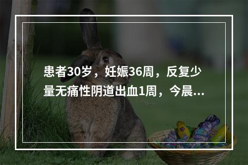 患者30岁，妊娠36周，反复少量无痛性阴道出血1周，今晨出血