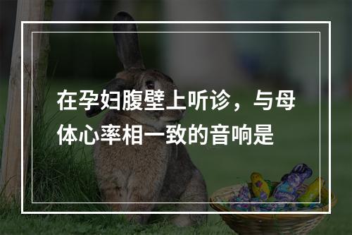 在孕妇腹壁上听诊，与母体心率相一致的音响是