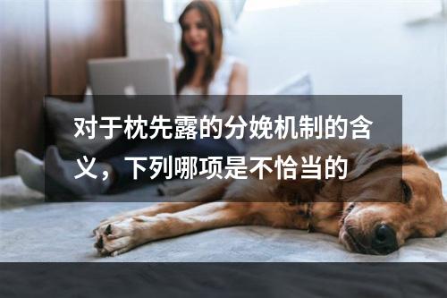 对于枕先露的分娩机制的含义，下列哪项是不恰当的