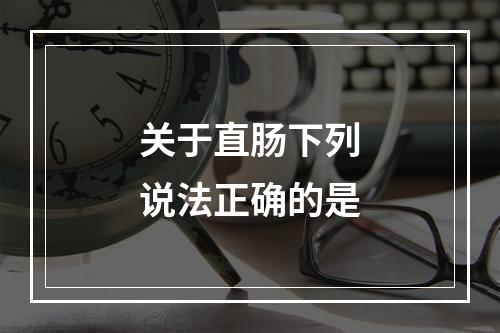 关于直肠下列说法正确的是