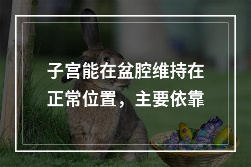 子宫能在盆腔维持在正常位置，主要依靠