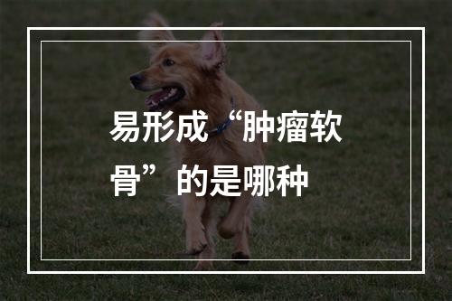 易形成“肿瘤软骨”的是哪种