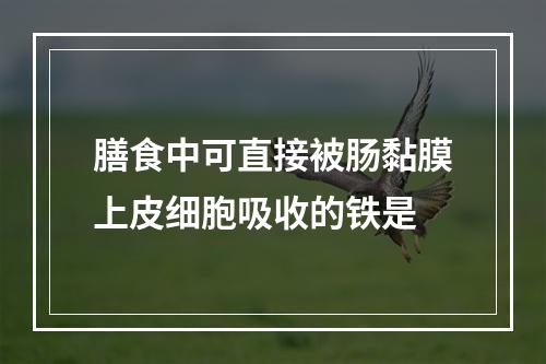 膳食中可直接被肠黏膜上皮细胞吸收的铁是