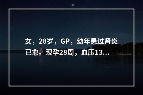 女，28岁，GP，幼年患过肾炎已愈。现孕28周，血压130/