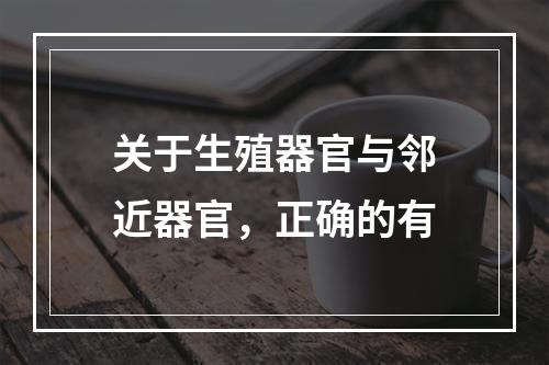 关于生殖器官与邻近器官，正确的有