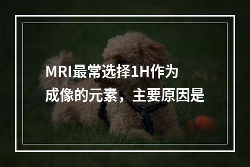 MRI最常选择1H作为成像的元素，主要原因是