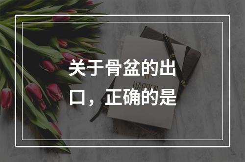 关于骨盆的出口，正确的是