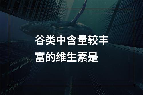 谷类中含量较丰富的维生素是