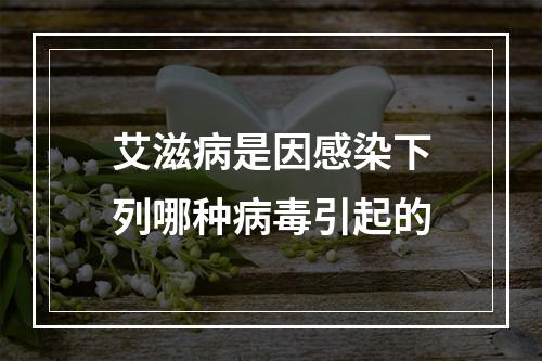 艾滋病是因感染下列哪种病毒引起的