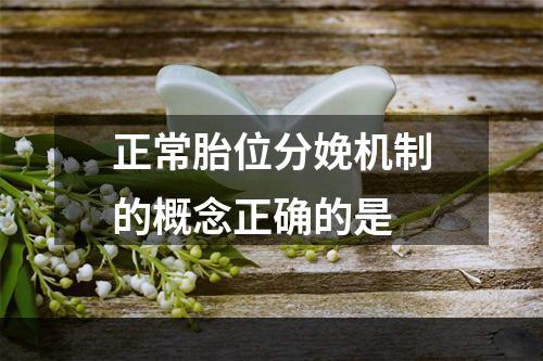 正常胎位分娩机制的概念正确的是