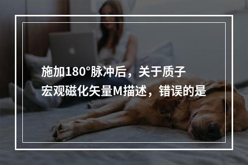 施加180°脉冲后，关于质子宏观磁化矢量M描述，错误的是