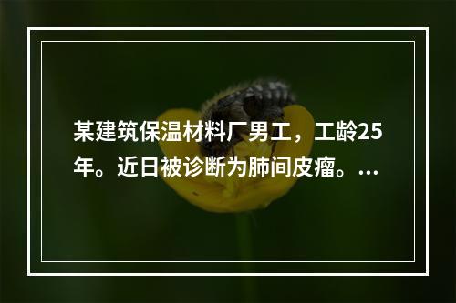 某建筑保温材料厂男工，工龄25年。近日被诊断为肺间皮瘤。其可