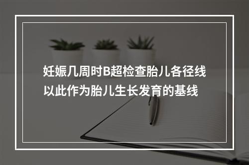 妊娠几周时B超检查胎儿各径线以此作为胎儿生长发育的基线