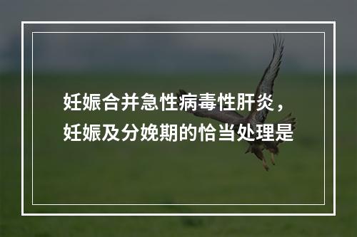 妊娠合并急性病毒性肝炎，妊娠及分娩期的恰当处理是