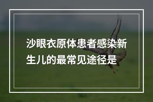 沙眼衣原体患者感染新生儿的最常见途径是