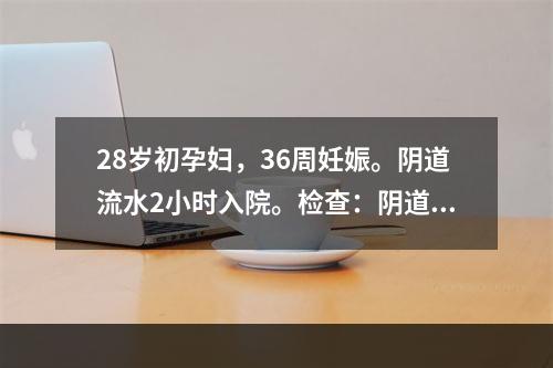 28岁初孕妇，36周妊娠。阴道流水2小时入院。检查：阴道少量