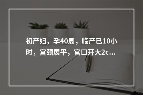 初产妇，孕40周，临产已10小时，宫颈展平，宫口开大2cm，