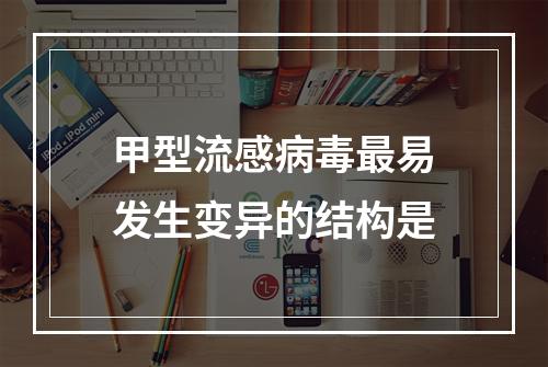 甲型流感病毒最易发生变异的结构是