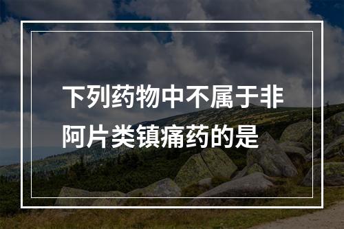 下列药物中不属于非阿片类镇痛药的是