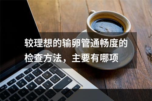 较理想的输卵管通畅度的检查方法，主要有哪项