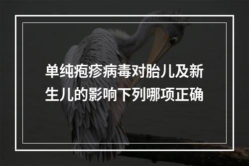 单纯疱疹病毒对胎儿及新生儿的影响下列哪项正确