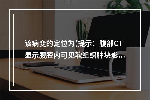 该病变的定位为(提示：腹部CT显示腹腔内可见软组织肿块影，胰