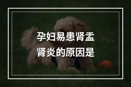 孕妇易患肾盂肾炎的原因是