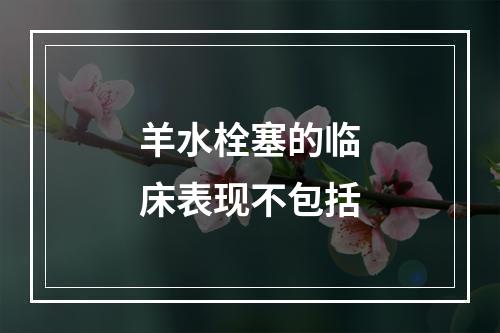 羊水栓塞的临床表现不包括