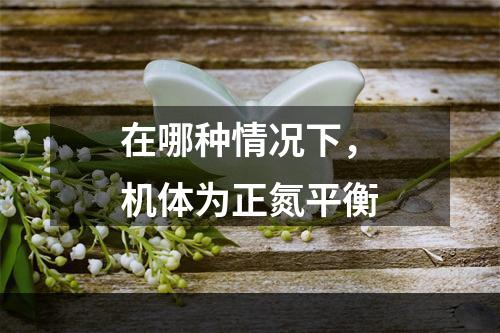 在哪种情况下，机体为正氮平衡