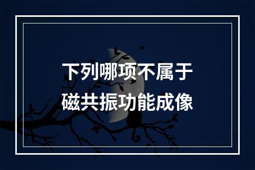 下列哪项不属于磁共振功能成像