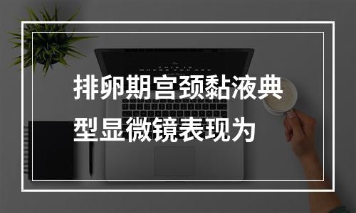 排卵期宫颈黏液典型显微镜表现为