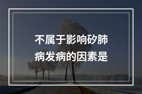 不属于影响矽肺病发病的因素是