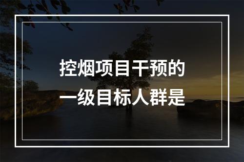 控烟项目干预的一级目标人群是