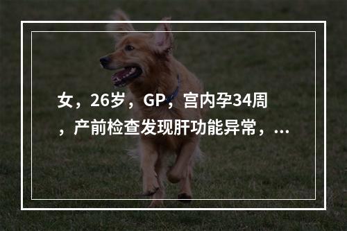 女，26岁，GP，宫内孕34周，产前检查发现肝功能异常，无其