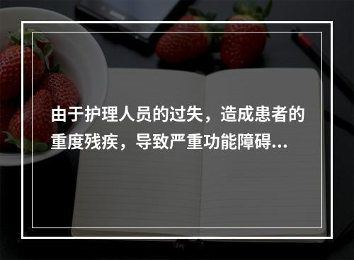 由于护理人员的过失，造成患者的重度残疾，导致严重功能障碍的称