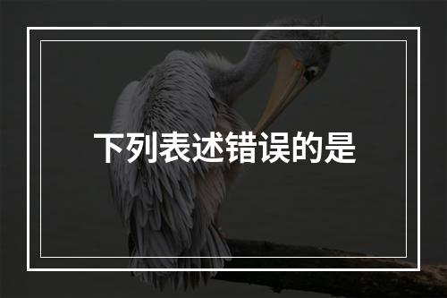 下列表述错误的是