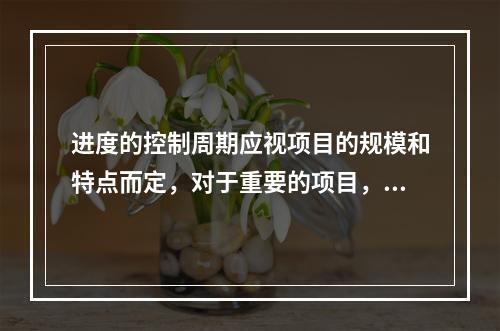 进度的控制周期应视项目的规模和特点而定，对于重要的项目，控制