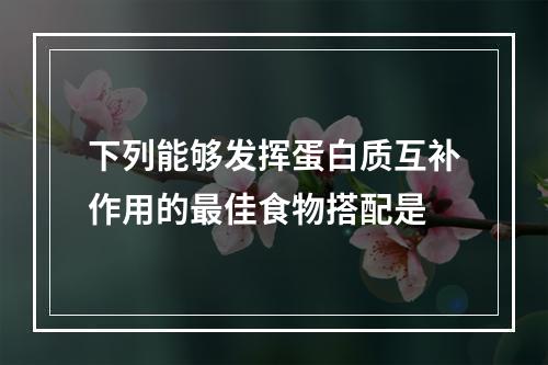 下列能够发挥蛋白质互补作用的最佳食物搭配是