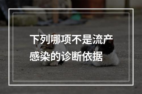 下列哪项不是流产感染的诊断依据