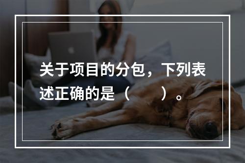 关于项目的分包，下列表述正确的是（　　）。